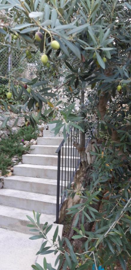 Panoramico Apartment أوباتيا المظهر الخارجي الصورة